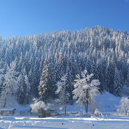 Appartamento Darenato Santo Stefano Di Cadore Esterno foto