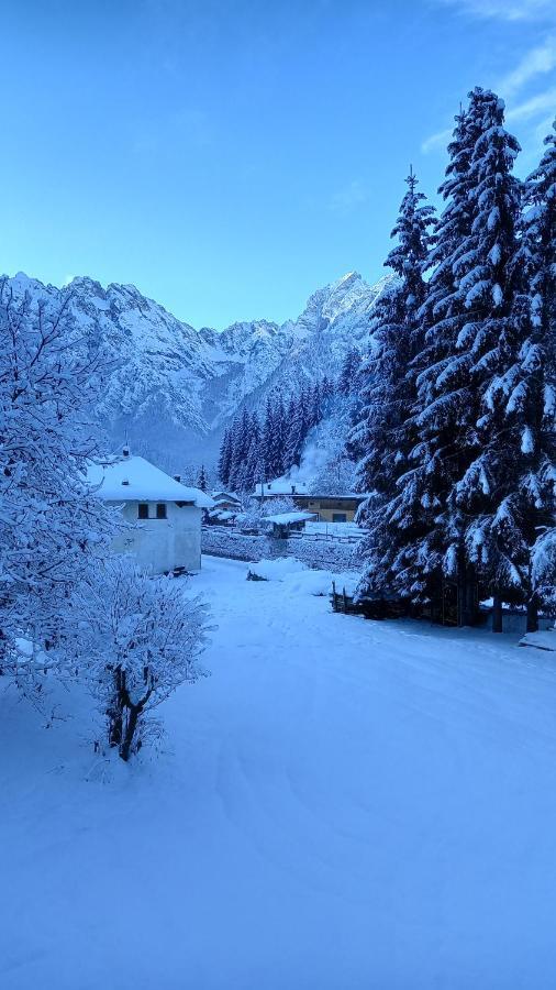 Appartamento Darenato Santo Stefano Di Cadore Esterno foto