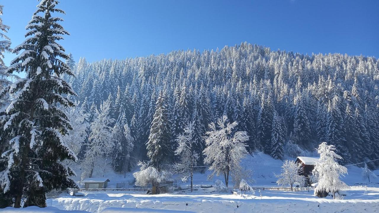 Appartamento Darenato Santo Stefano Di Cadore Esterno foto