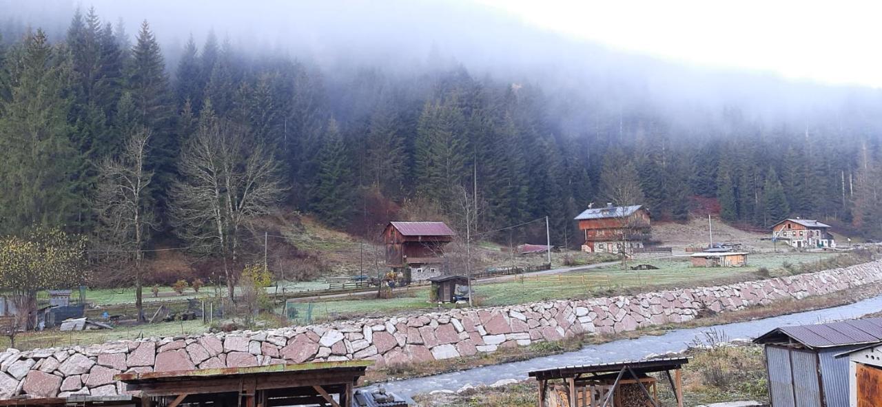 Appartamento Darenato Santo Stefano Di Cadore Esterno foto